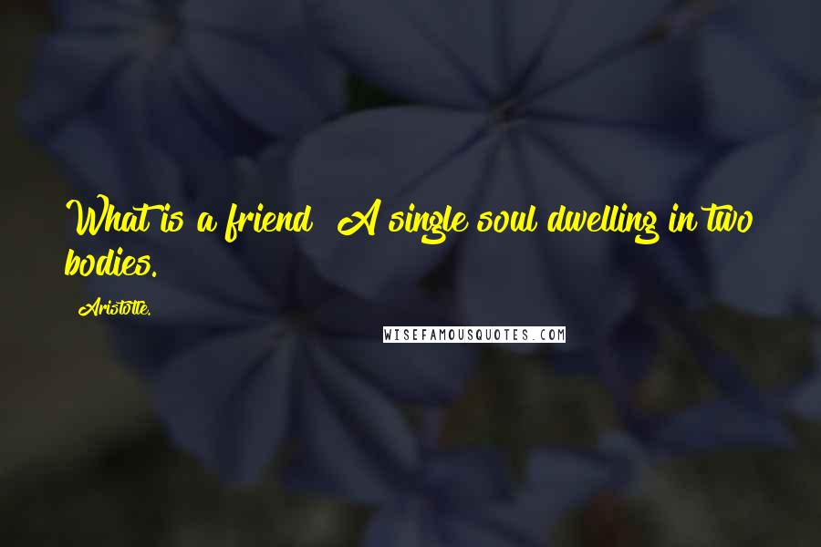 Aristotle. Quotes: What is a friend? A single soul dwelling in two bodies.