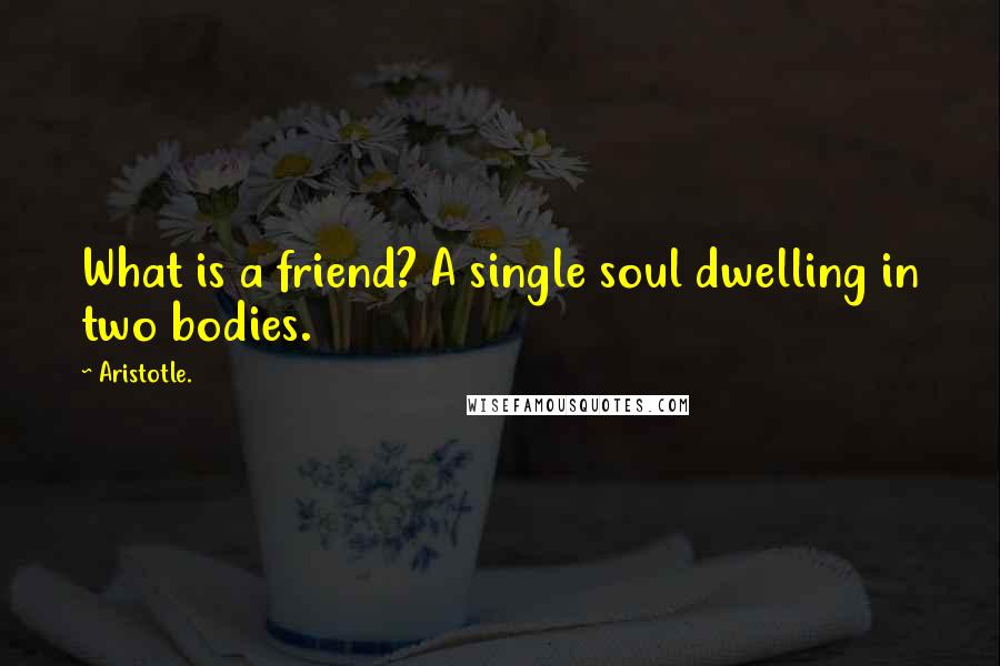 Aristotle. Quotes: What is a friend? A single soul dwelling in two bodies.