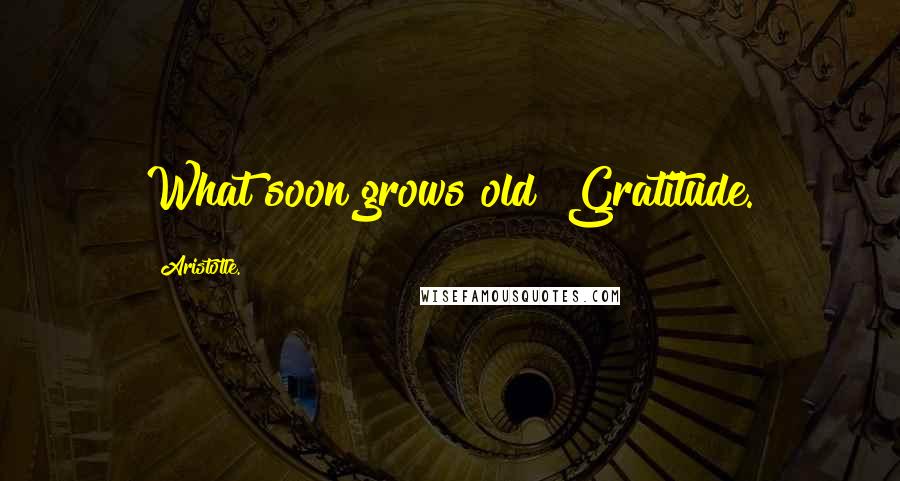 Aristotle. Quotes: What soon grows old? Gratitude.