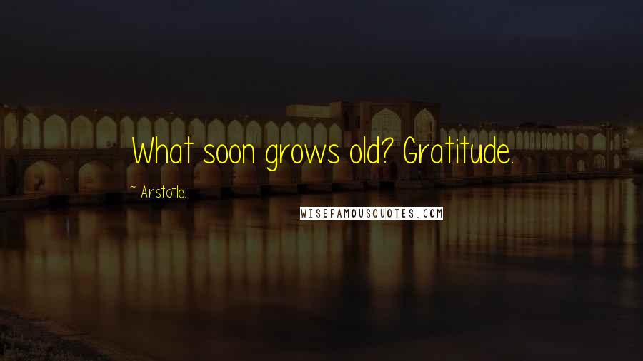 Aristotle. Quotes: What soon grows old? Gratitude.