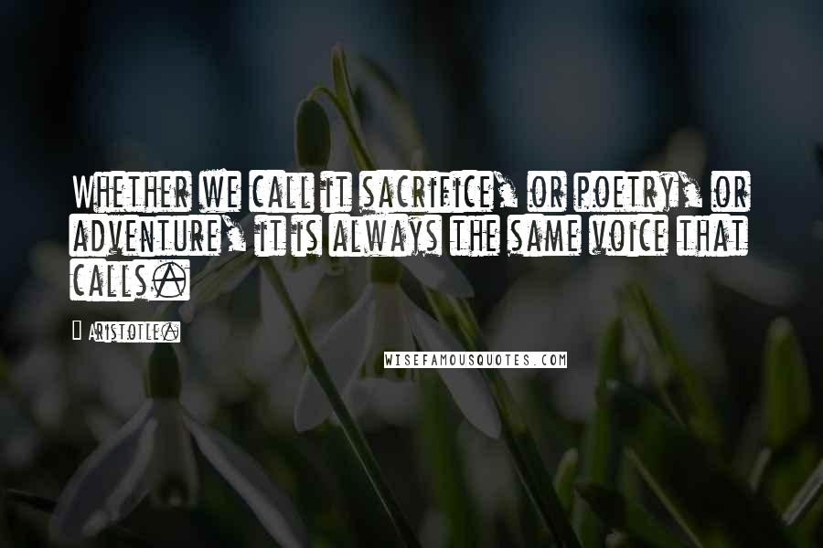 Aristotle. Quotes: Whether we call it sacrifice, or poetry, or adventure, it is always the same voice that calls.