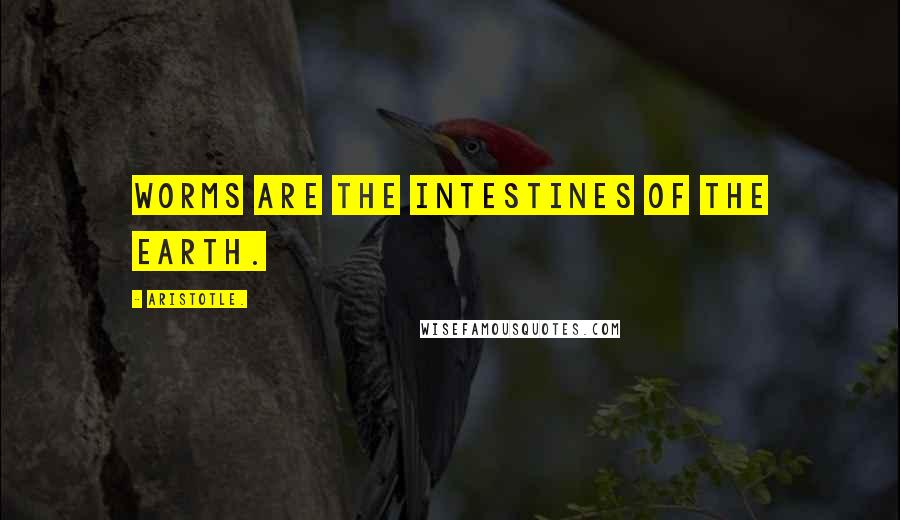 Aristotle. Quotes: Worms are the intestines of the earth.