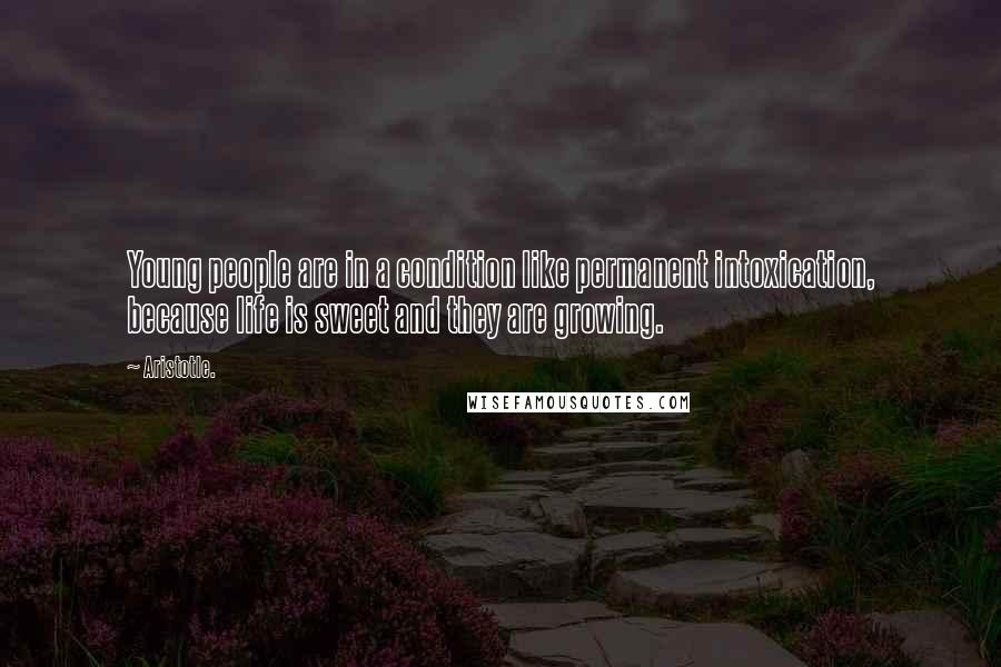 Aristotle. Quotes: Young people are in a condition like permanent intoxication, because life is sweet and they are growing.