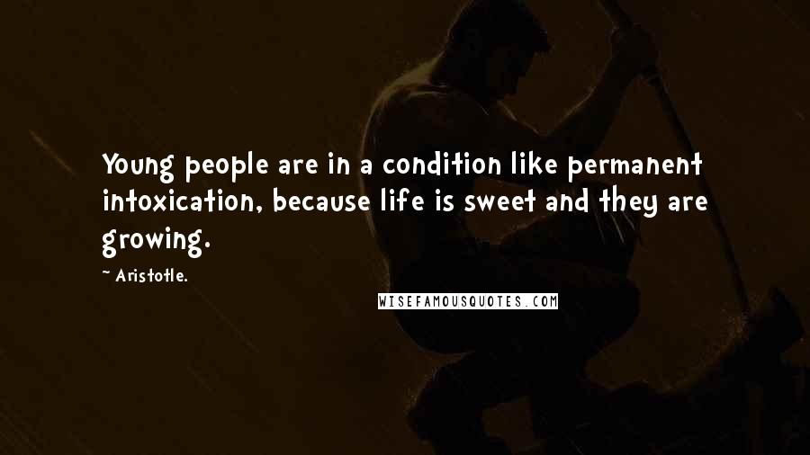 Aristotle. Quotes: Young people are in a condition like permanent intoxication, because life is sweet and they are growing.