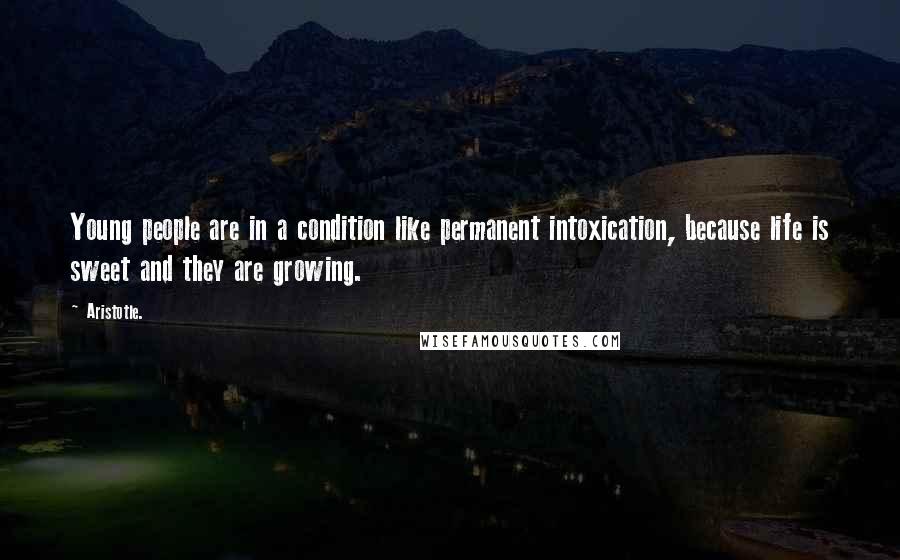 Aristotle. Quotes: Young people are in a condition like permanent intoxication, because life is sweet and they are growing.