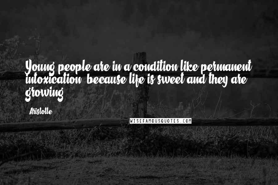 Aristotle. Quotes: Young people are in a condition like permanent intoxication, because life is sweet and they are growing.