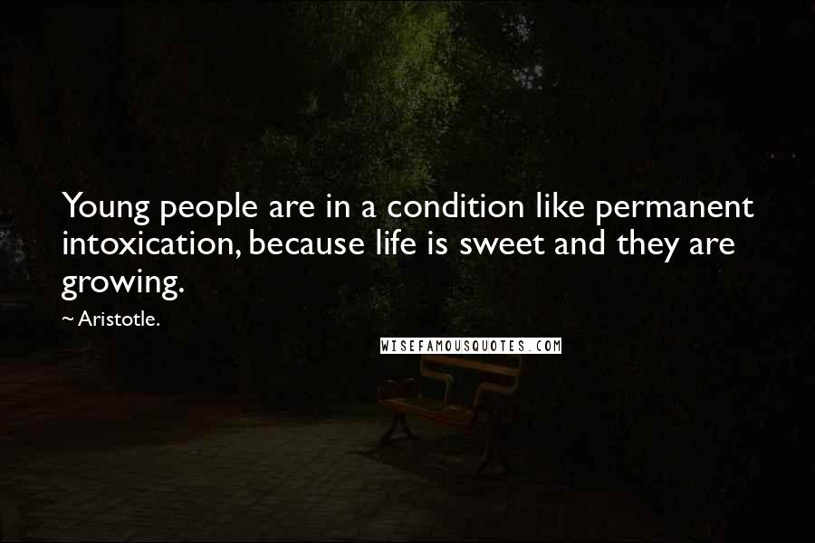 Aristotle. Quotes: Young people are in a condition like permanent intoxication, because life is sweet and they are growing.