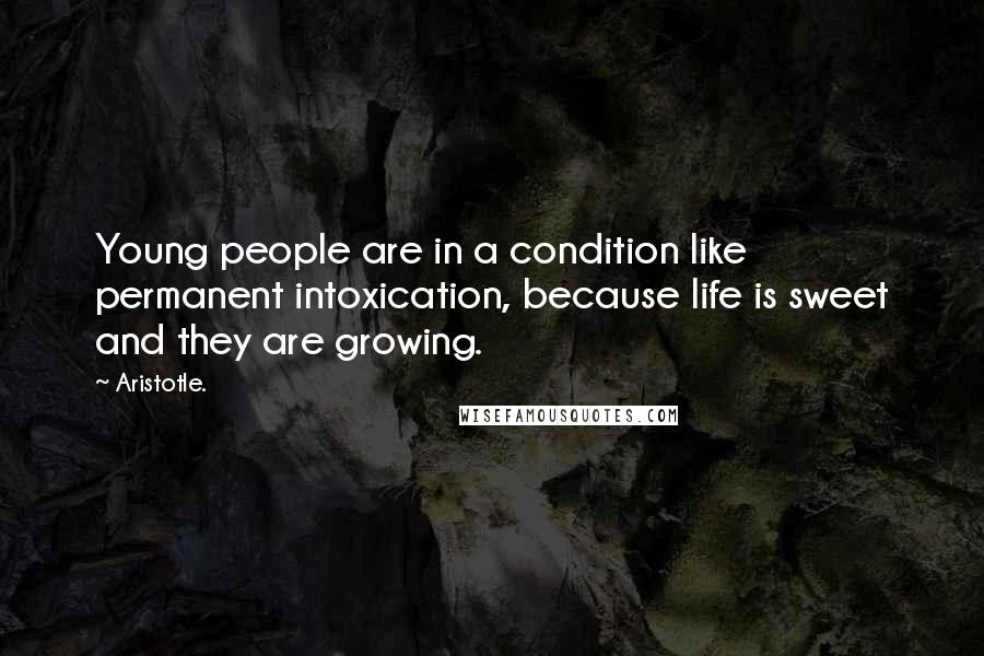 Aristotle. Quotes: Young people are in a condition like permanent intoxication, because life is sweet and they are growing.