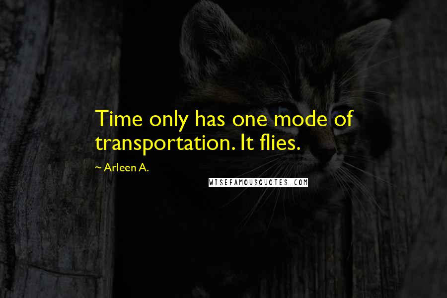 Arleen A. Quotes: Time only has one mode of transportation. It flies.
