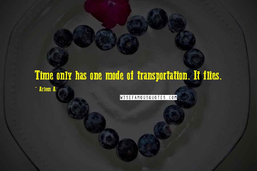 Arleen A. Quotes: Time only has one mode of transportation. It flies.