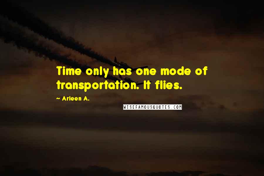 Arleen A. Quotes: Time only has one mode of transportation. It flies.