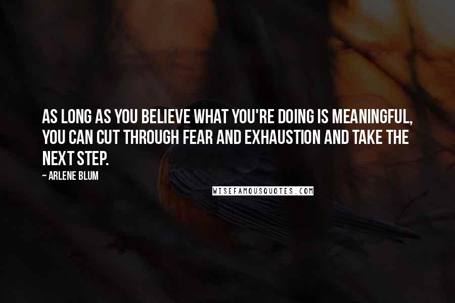 Arlene Blum Quotes: As long as you believe what you're doing is meaningful, you can cut through fear and exhaustion and take the next step.