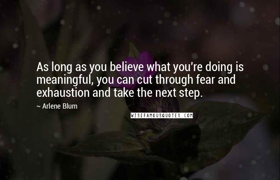 Arlene Blum Quotes: As long as you believe what you're doing is meaningful, you can cut through fear and exhaustion and take the next step.