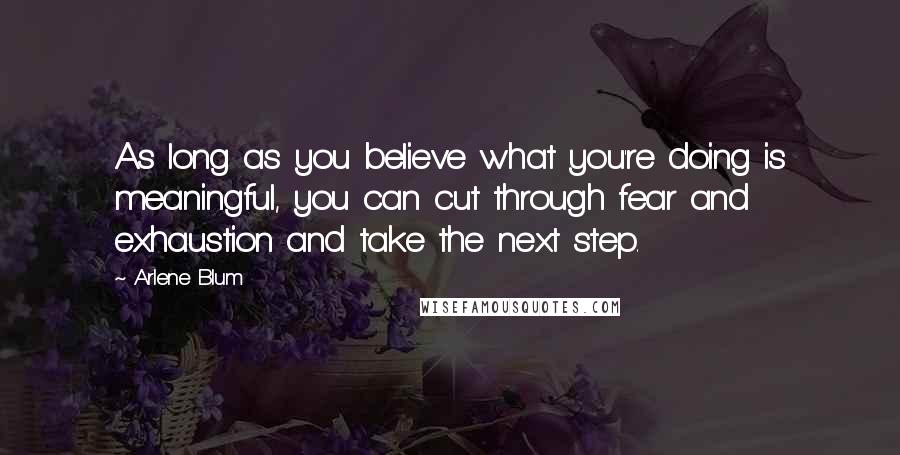 Arlene Blum Quotes: As long as you believe what you're doing is meaningful, you can cut through fear and exhaustion and take the next step.