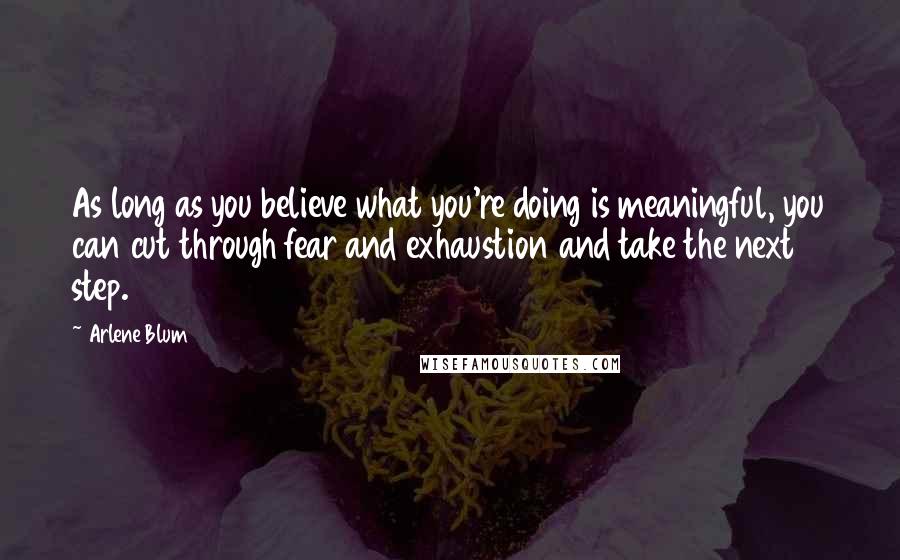 Arlene Blum Quotes: As long as you believe what you're doing is meaningful, you can cut through fear and exhaustion and take the next step.