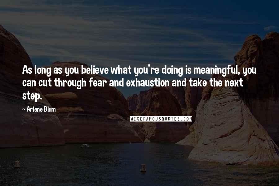 Arlene Blum Quotes: As long as you believe what you're doing is meaningful, you can cut through fear and exhaustion and take the next step.