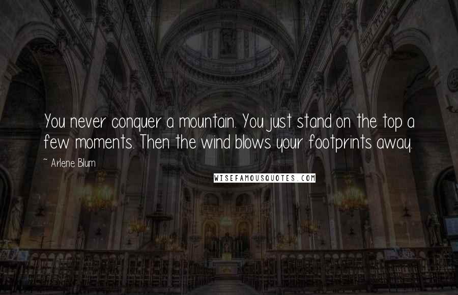 Arlene Blum Quotes: You never conquer a mountain. You just stand on the top a few moments. Then the wind blows your footprints away.