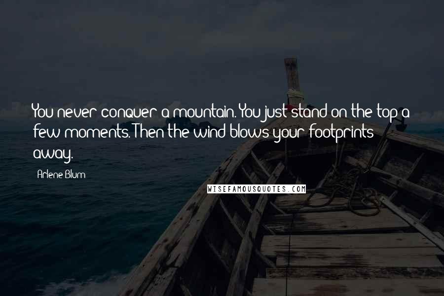 Arlene Blum Quotes: You never conquer a mountain. You just stand on the top a few moments. Then the wind blows your footprints away.