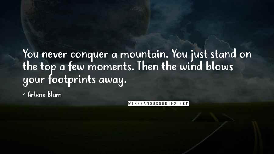 Arlene Blum Quotes: You never conquer a mountain. You just stand on the top a few moments. Then the wind blows your footprints away.