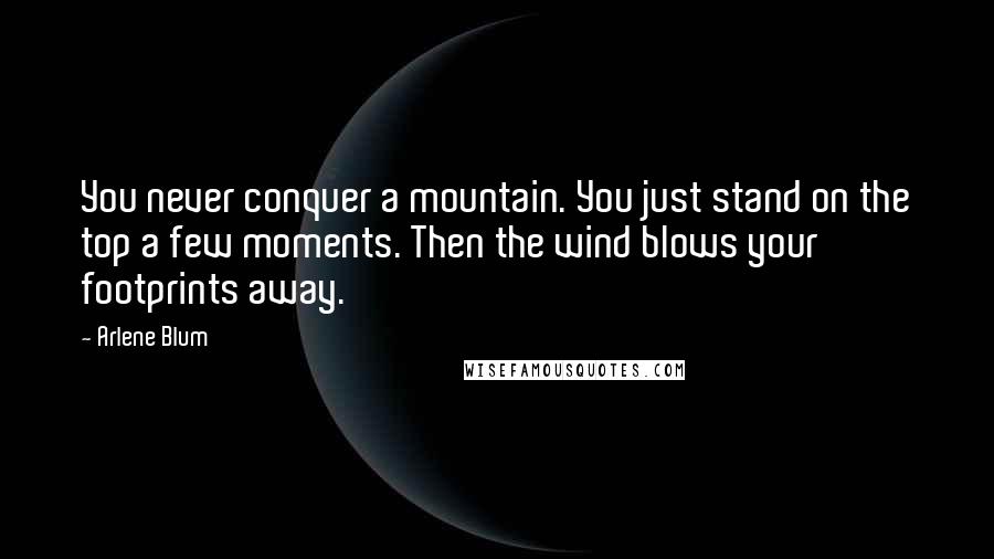 Arlene Blum Quotes: You never conquer a mountain. You just stand on the top a few moments. Then the wind blows your footprints away.