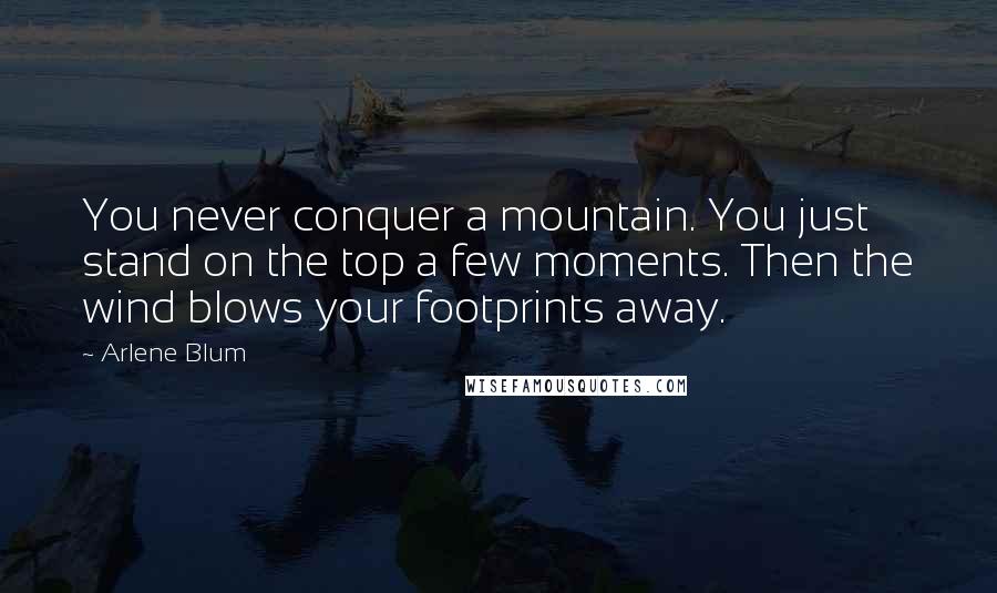 Arlene Blum Quotes: You never conquer a mountain. You just stand on the top a few moments. Then the wind blows your footprints away.