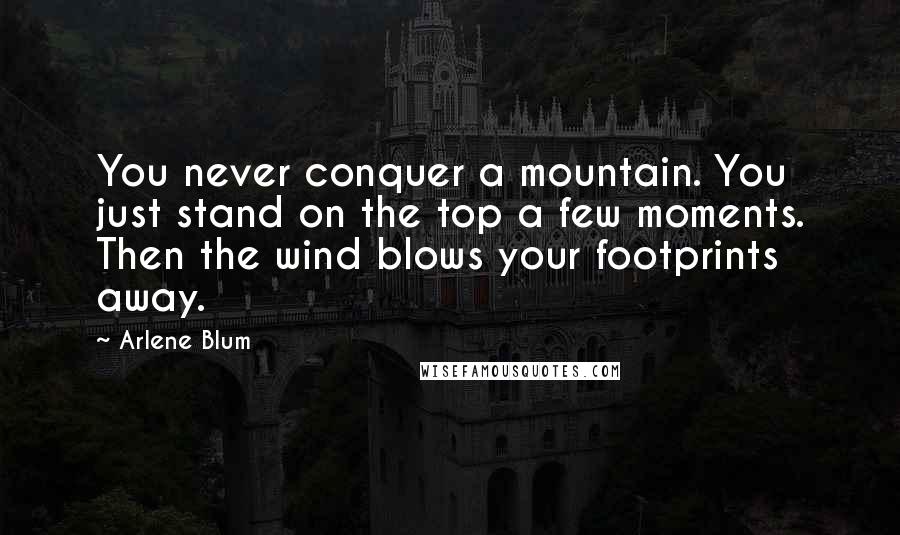 Arlene Blum Quotes: You never conquer a mountain. You just stand on the top a few moments. Then the wind blows your footprints away.