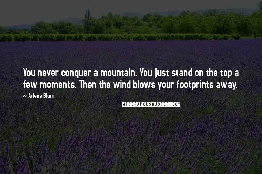 Arlene Blum Quotes: You never conquer a mountain. You just stand on the top a few moments. Then the wind blows your footprints away.