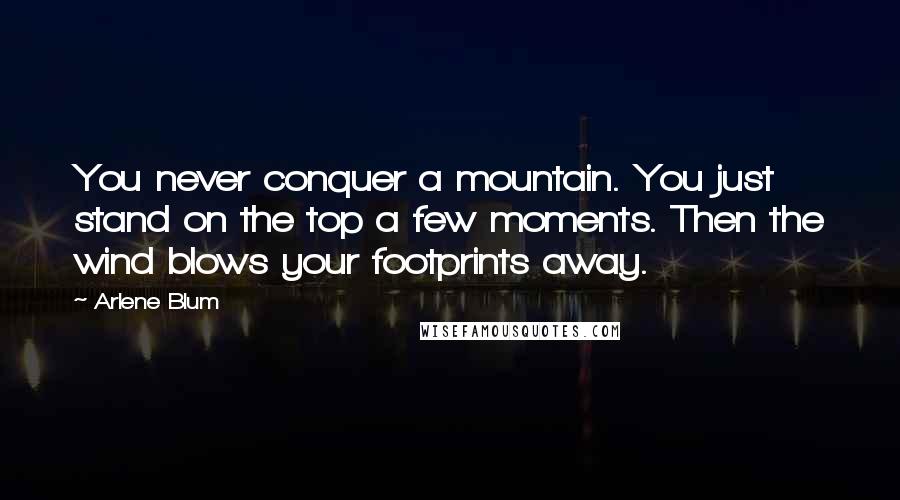 Arlene Blum Quotes: You never conquer a mountain. You just stand on the top a few moments. Then the wind blows your footprints away.