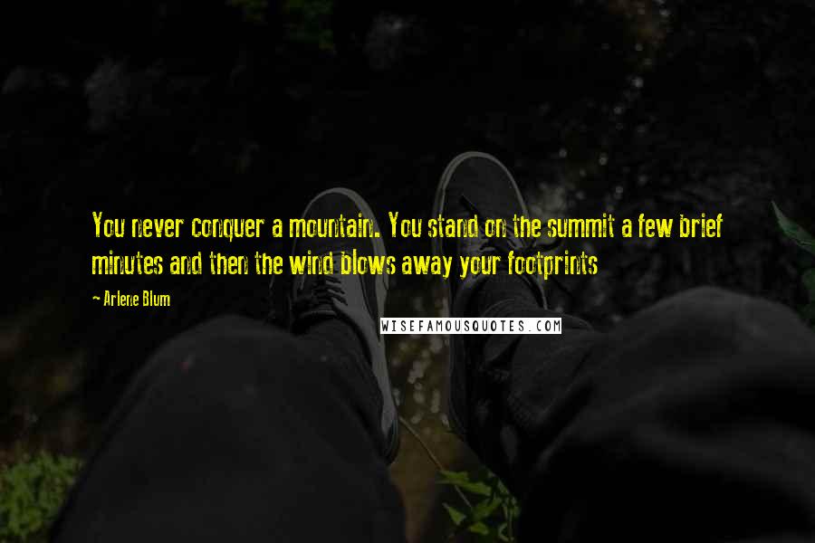 Arlene Blum Quotes: You never conquer a mountain. You stand on the summit a few brief minutes and then the wind blows away your footprints