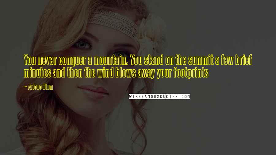 Arlene Blum Quotes: You never conquer a mountain. You stand on the summit a few brief minutes and then the wind blows away your footprints