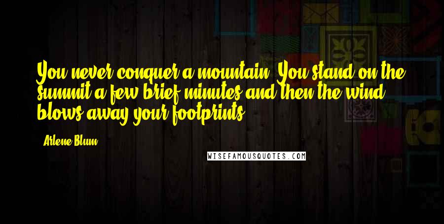 Arlene Blum Quotes: You never conquer a mountain. You stand on the summit a few brief minutes and then the wind blows away your footprints