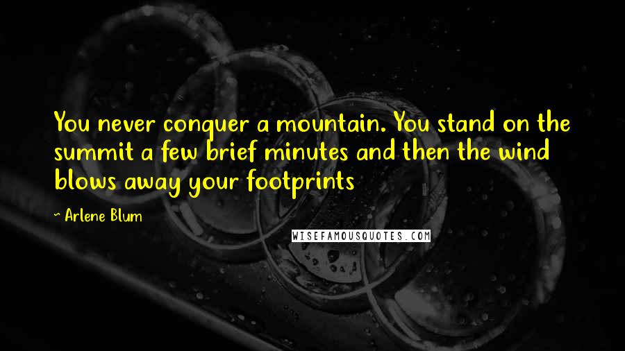 Arlene Blum Quotes: You never conquer a mountain. You stand on the summit a few brief minutes and then the wind blows away your footprints