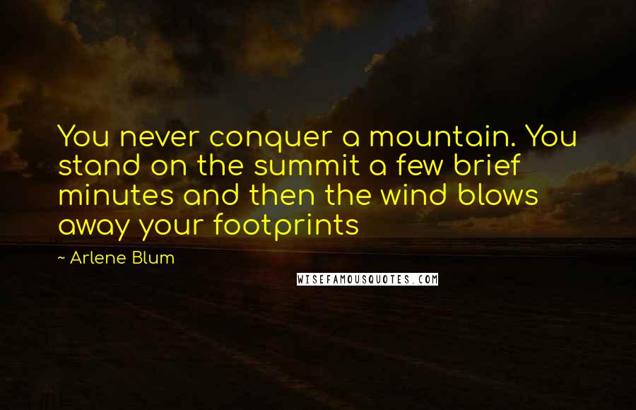 Arlene Blum Quotes: You never conquer a mountain. You stand on the summit a few brief minutes and then the wind blows away your footprints