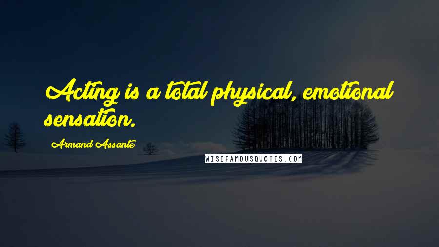 Armand Assante Quotes: Acting is a total physical, emotional sensation.