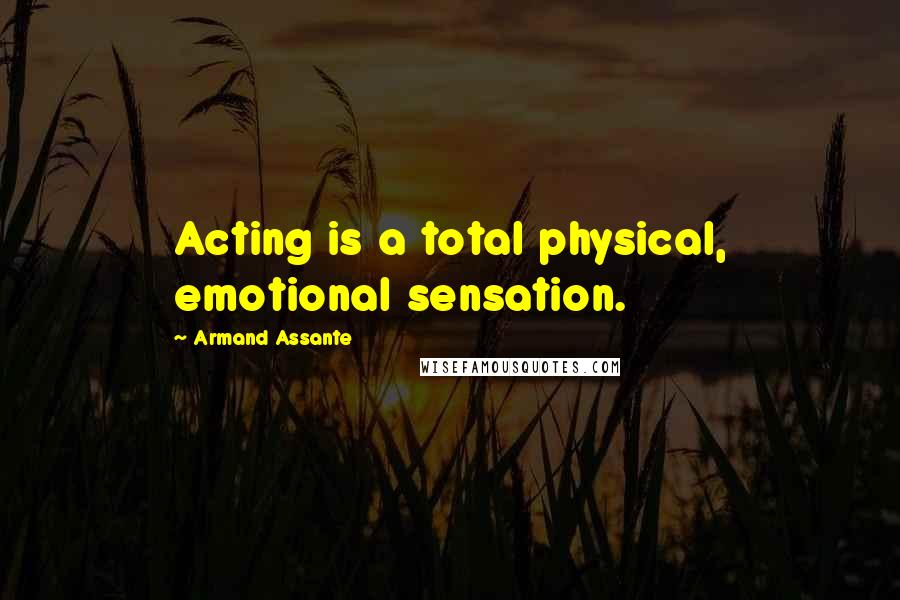 Armand Assante Quotes: Acting is a total physical, emotional sensation.