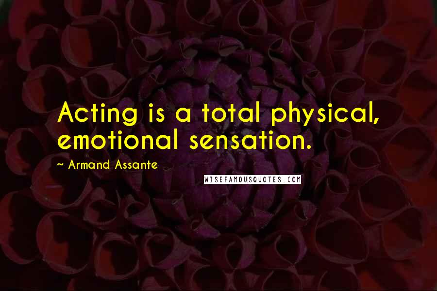 Armand Assante Quotes: Acting is a total physical, emotional sensation.