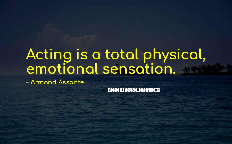 Armand Assante Quotes: Acting is a total physical, emotional sensation.