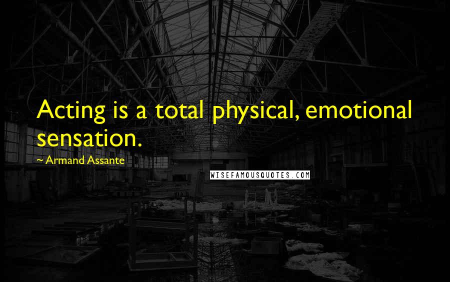 Armand Assante Quotes: Acting is a total physical, emotional sensation.