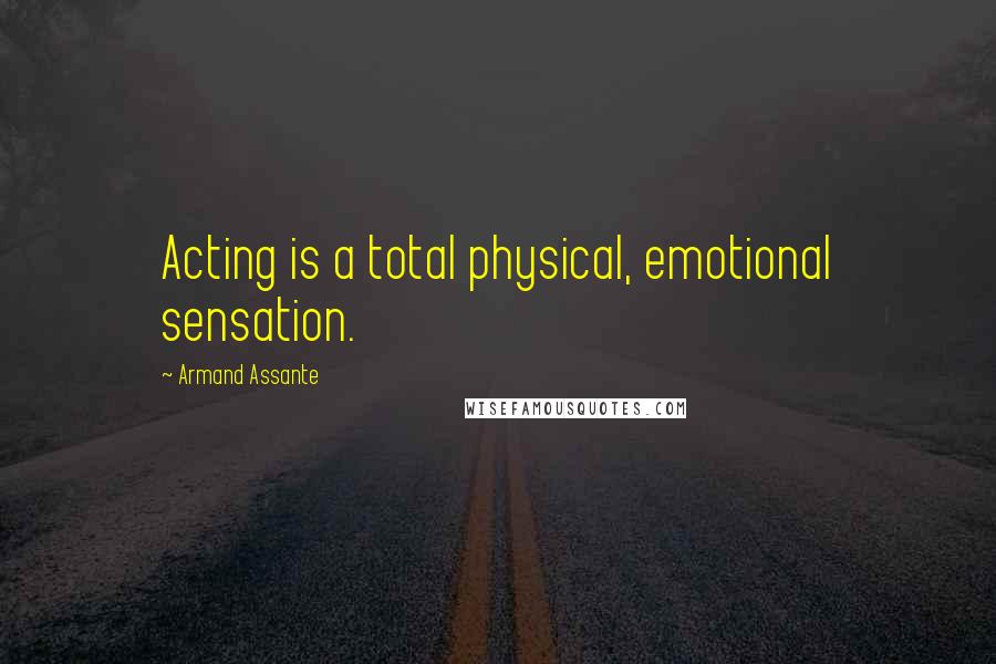 Armand Assante Quotes: Acting is a total physical, emotional sensation.