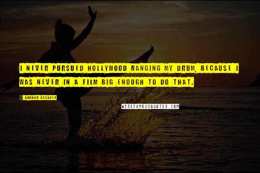 Armand Assante Quotes: I never pursued Hollywood banging my drum, because I was never in a film big enough to do that.