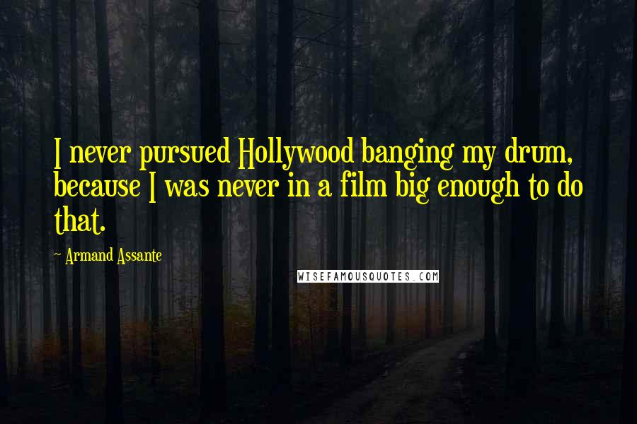 Armand Assante Quotes: I never pursued Hollywood banging my drum, because I was never in a film big enough to do that.