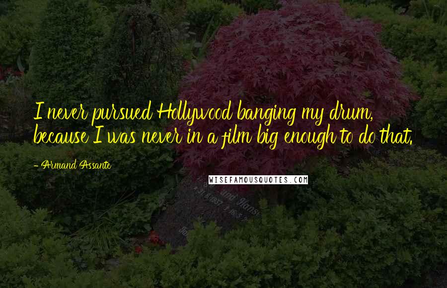 Armand Assante Quotes: I never pursued Hollywood banging my drum, because I was never in a film big enough to do that.