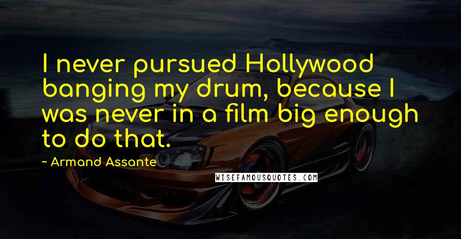 Armand Assante Quotes: I never pursued Hollywood banging my drum, because I was never in a film big enough to do that.