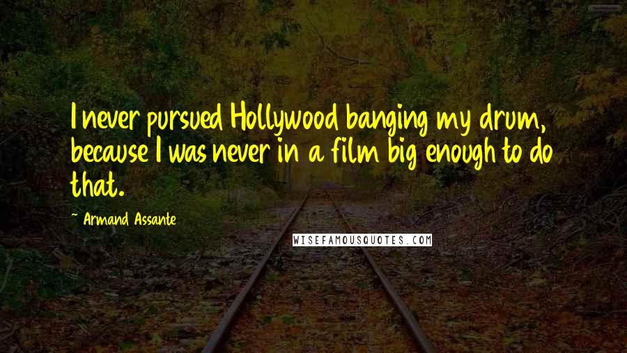 Armand Assante Quotes: I never pursued Hollywood banging my drum, because I was never in a film big enough to do that.