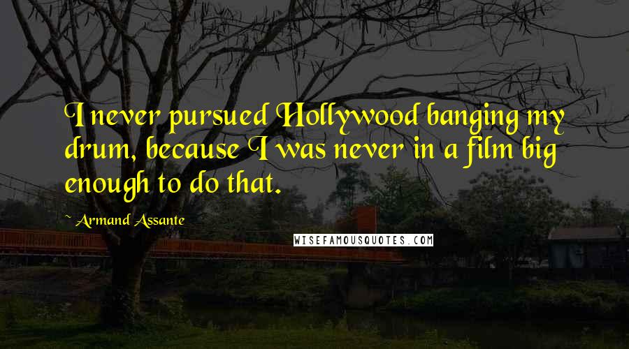 Armand Assante Quotes: I never pursued Hollywood banging my drum, because I was never in a film big enough to do that.
