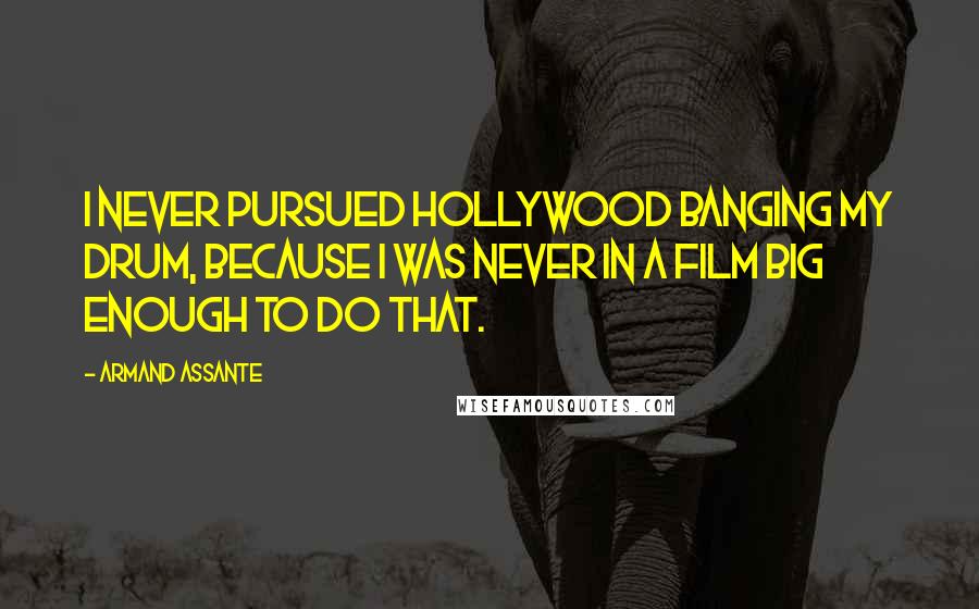 Armand Assante Quotes: I never pursued Hollywood banging my drum, because I was never in a film big enough to do that.