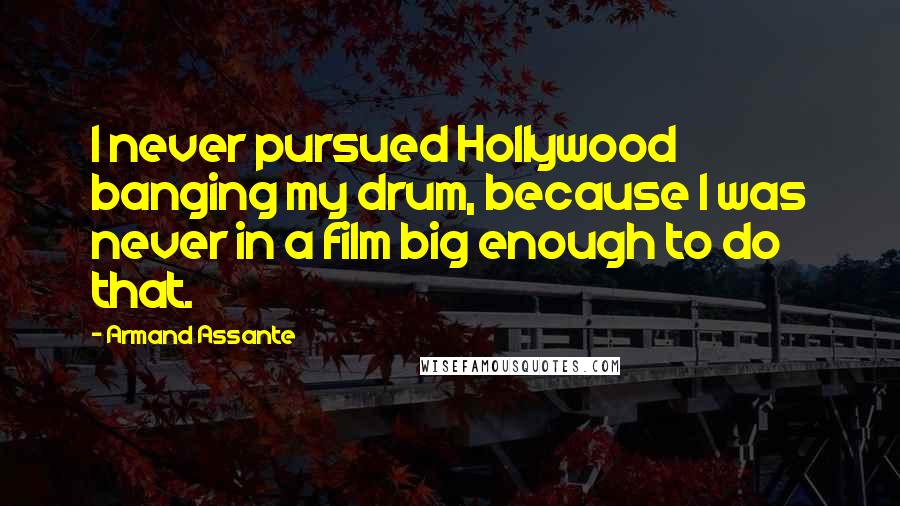 Armand Assante Quotes: I never pursued Hollywood banging my drum, because I was never in a film big enough to do that.