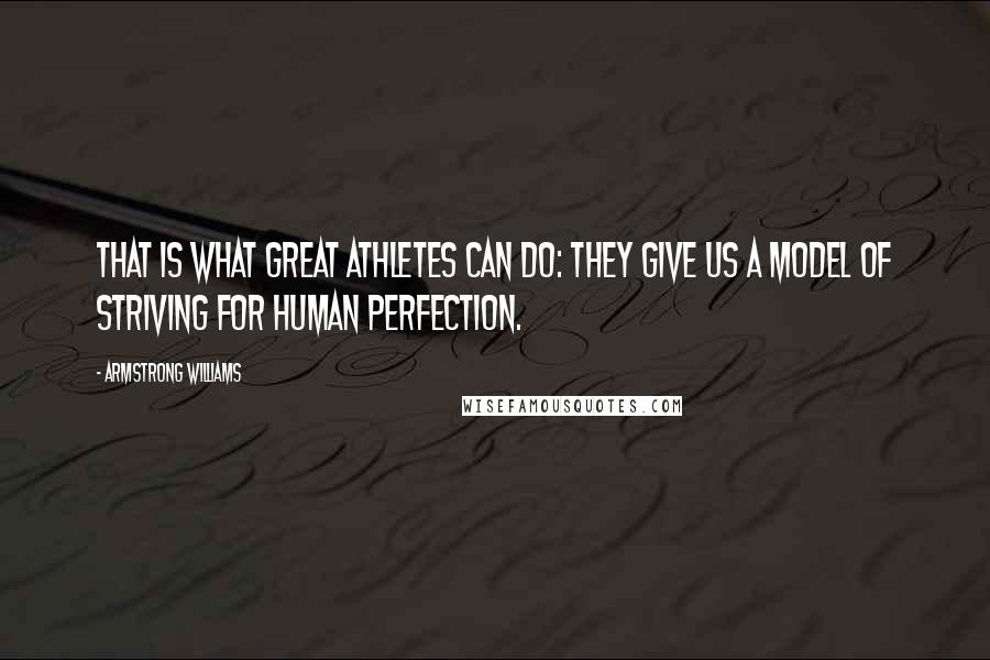 Armstrong Williams Quotes: That is what great athletes can do: they give us a model of striving for human perfection.