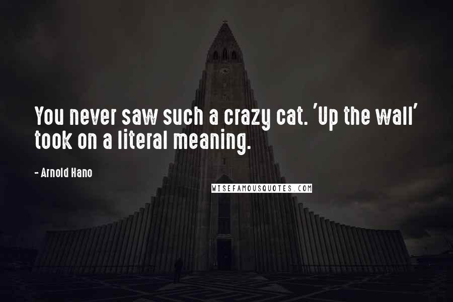 Arnold Hano Quotes: You never saw such a crazy cat. 'Up the wall' took on a literal meaning.