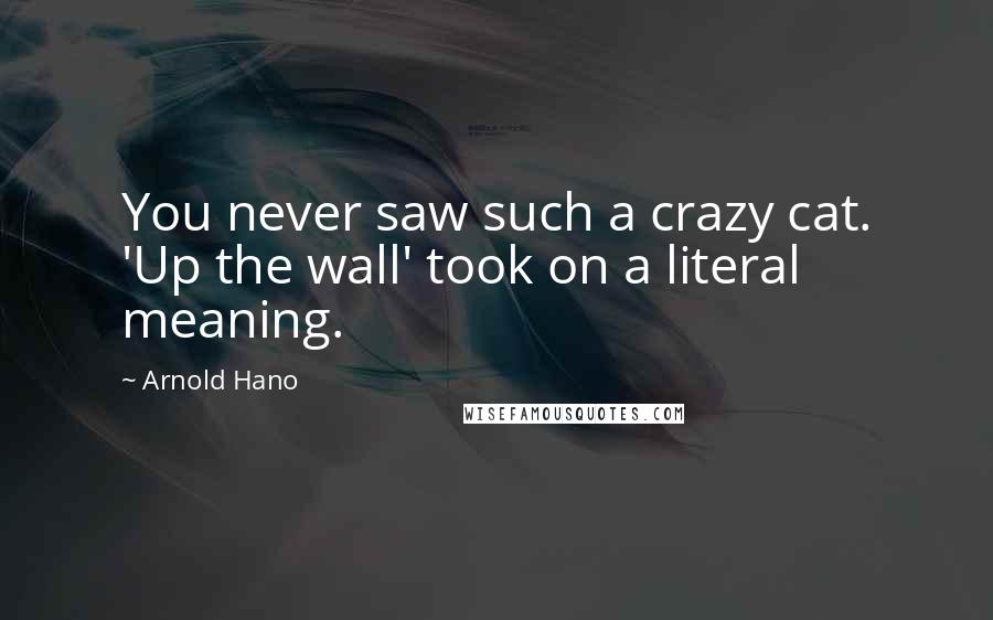 Arnold Hano Quotes: You never saw such a crazy cat. 'Up the wall' took on a literal meaning.
